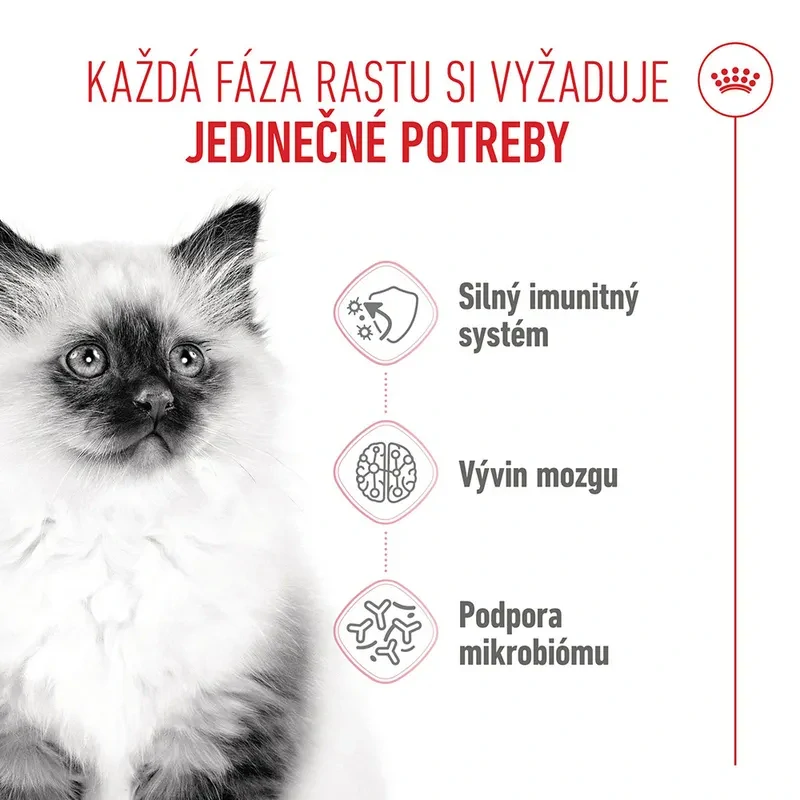 ROYAL CANIN Kitten Granule pre mačiatka v ich druhej fáze rastu, 400g
