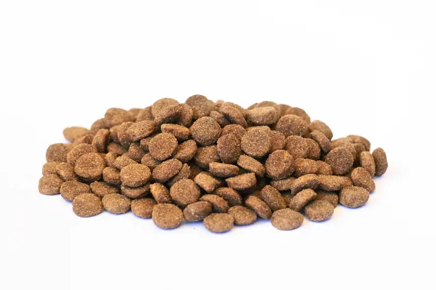 ENERGYS Dog Adult All Breeds Beef, 12kg 