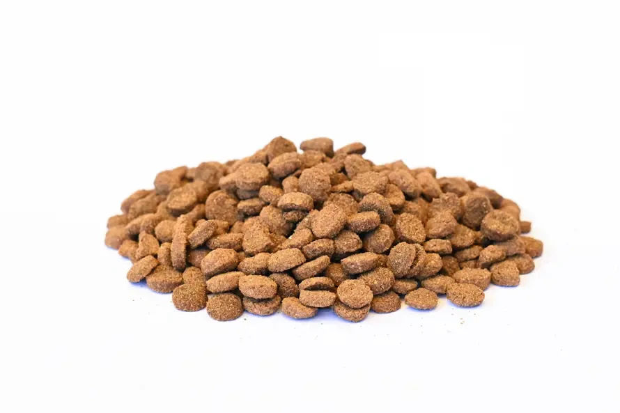 ENERGYS Dog Adult All Breeds Poultry, 12kg 
