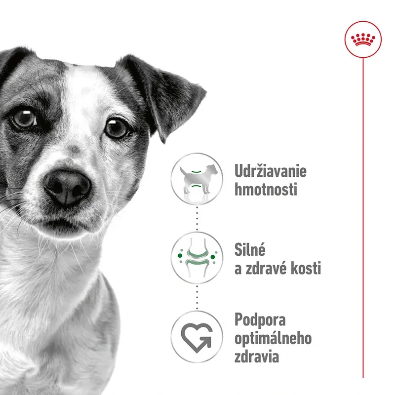 ROYAL CANIN Mini Adult Granule pre dospelých psov malých plemien, 8kg