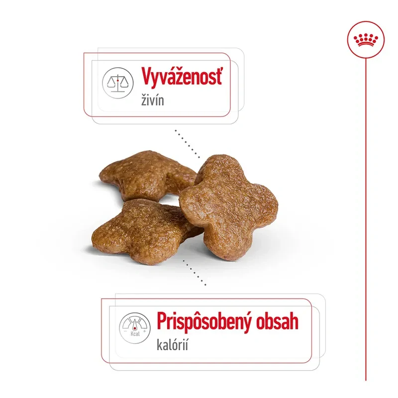 Royal Canin Mini Adult 8+ Granule pre dospelé starnúce psy, 8kg