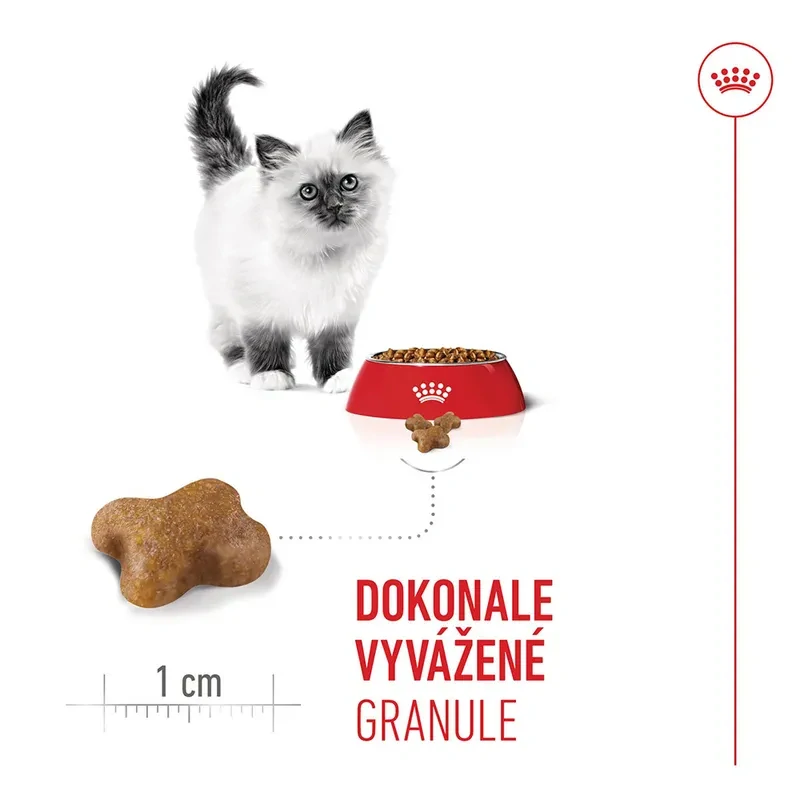ROYAL CANIN Kitten Granule pre mačiatka v ich druhej fáze rastu, 400g